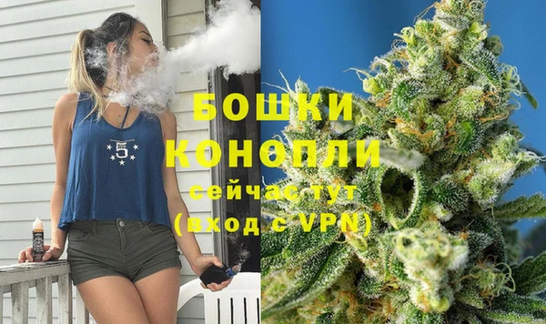 стафф Богданович